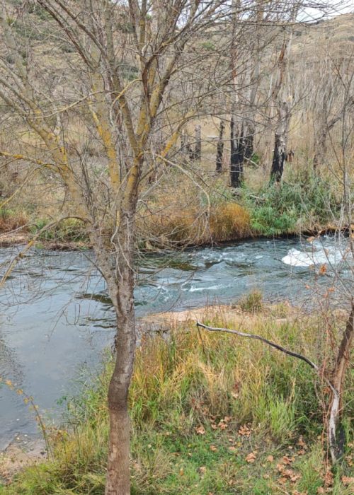 WhatsApp Image 2025-11-24 at 12.38.28