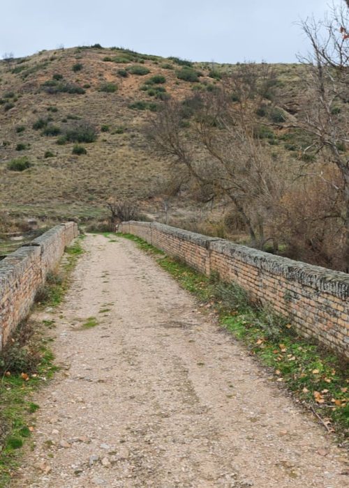 WhatsApp Image 2025-11-24 at 12.38.39