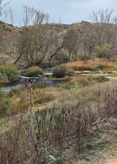 WhatsApp Image 2025-11-24 at 12.39.22