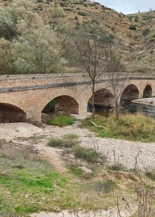 WhatsApp Image 2025-11-24 at 12.39.25