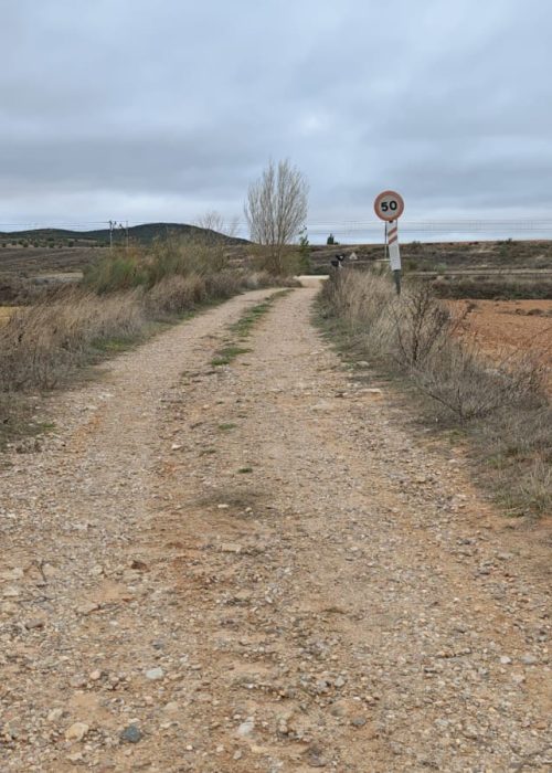 WhatsApp Image 2025-11-24 at 12.40.26