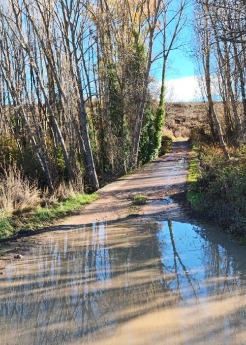 WhatsApp Image 2025-11-25 at 11.05.00