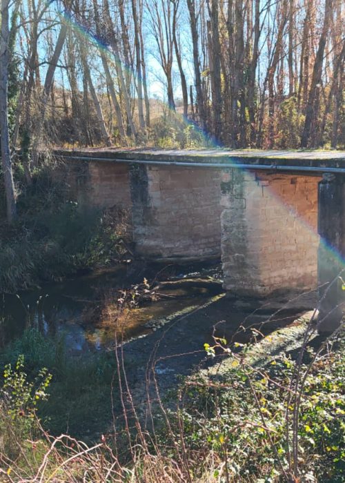 WhatsApp Image 2025-11-25 at 11.05.31