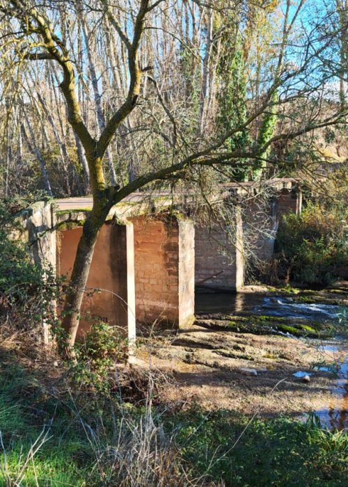 WhatsApp Image 2025-11-25 at 11.06.40