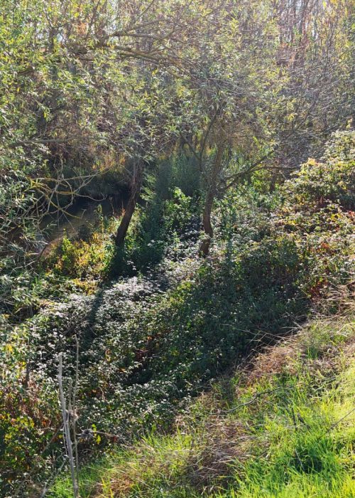 WhatsApp Image 2025-11-25 at 11.06.44