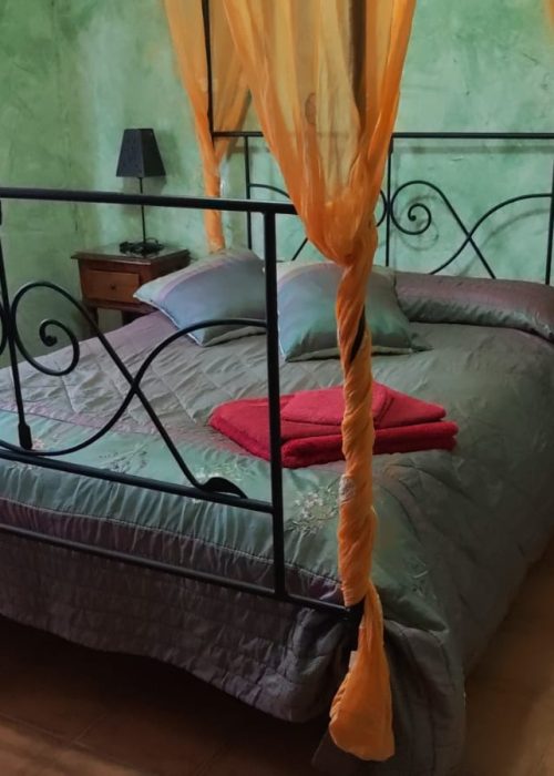 WhatsApp Image 2025-11-29 at 11.23.02